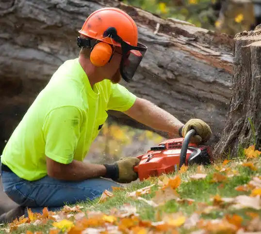 tree services Cove Creek